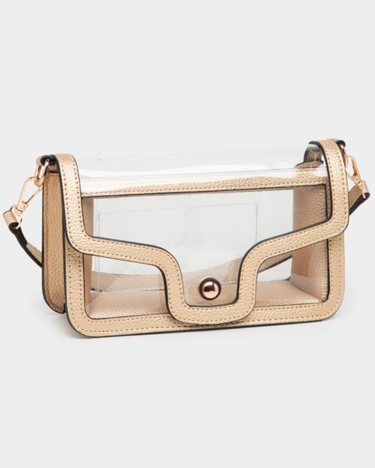 Black, Gold & Tan Transparent Bag