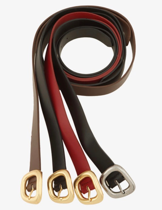 Belts (Brown, Burgundy, Black/Silver, Black/Gold)