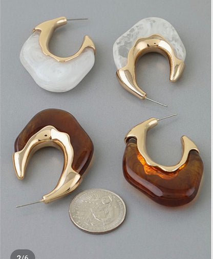 Stone Hoop Earring (Brown & White)